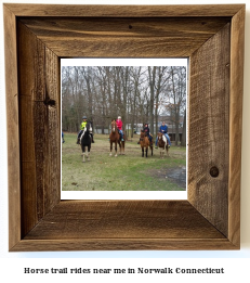 horse trail rides near me in Norwalk, Connecticut